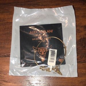 Alex and Ani Spirited Skull Adjustable Bracelet